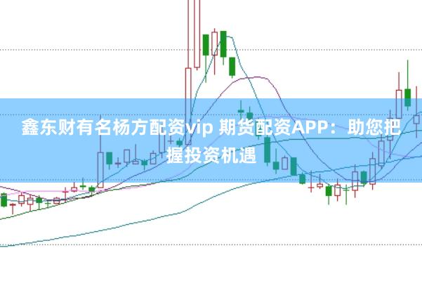 鑫东财有名杨方配资vip 期货配资APP：助您把握投资机遇