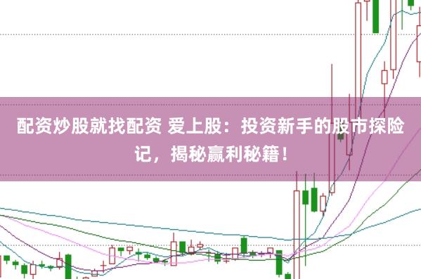 配资炒股就找配资 爱上股：投资新手的股市探险记，揭秘赢利秘籍！