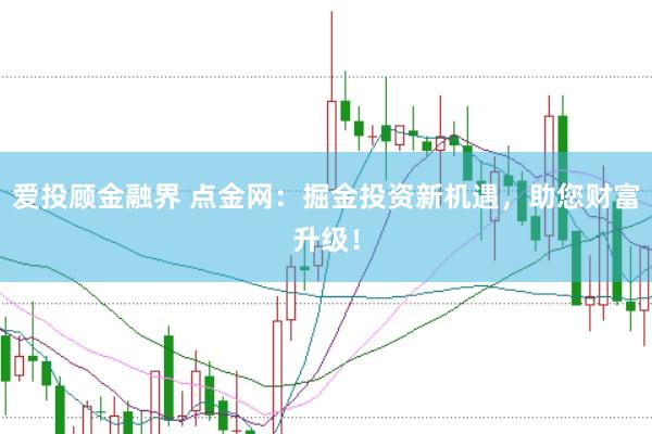 爱投顾金融界 点金网：掘金投资新机遇，助您财富升级！