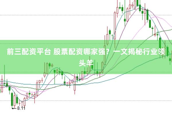 前三配资平台 股票配资哪家强？一文揭秘行业领头羊