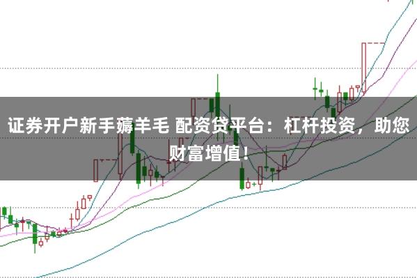 证券开户新手薅羊毛 配资贷平台：杠杆投资，助您财富增值！