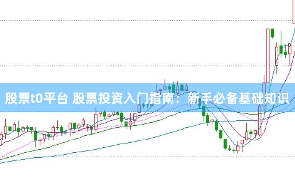股票t0平台 股票投资入门指南：新手必备基础知识