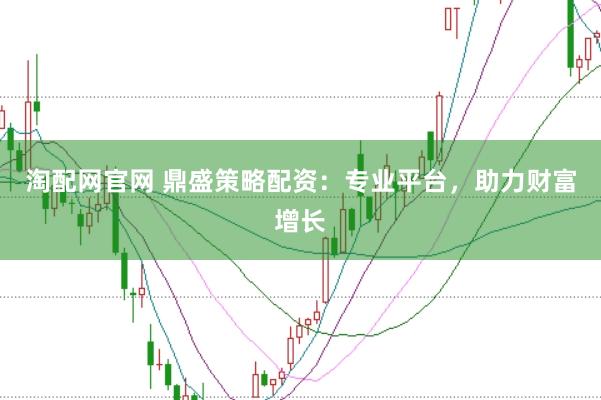 淘配网官网 鼎盛策略配资:专业平台,助力财富增长