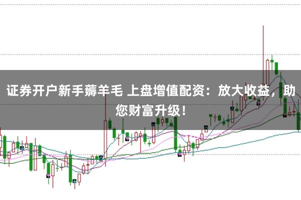 证券开户新手薅羊毛 上盘增值配资:放大收益,助您财富升级!